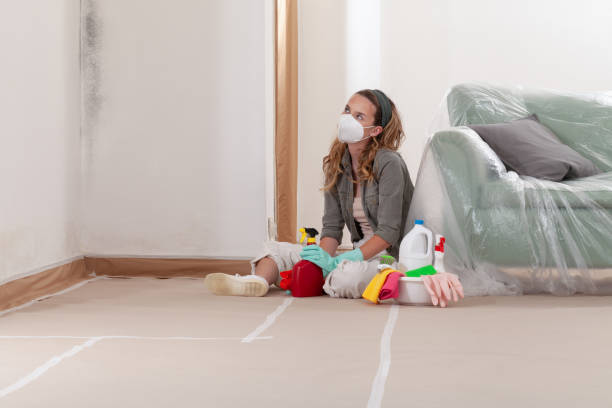 Reliable Mold Testing contractor in Rockford, MN by WQB Mold Removal